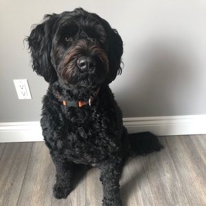 Meet your Posher, Elaina